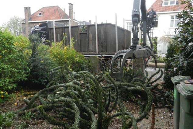 Bomen rooien Heythuysen